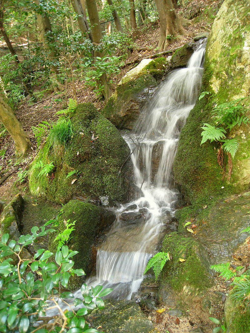800px-Nanzen-in_-_Nanzenji_-_IMG_5393.JPG