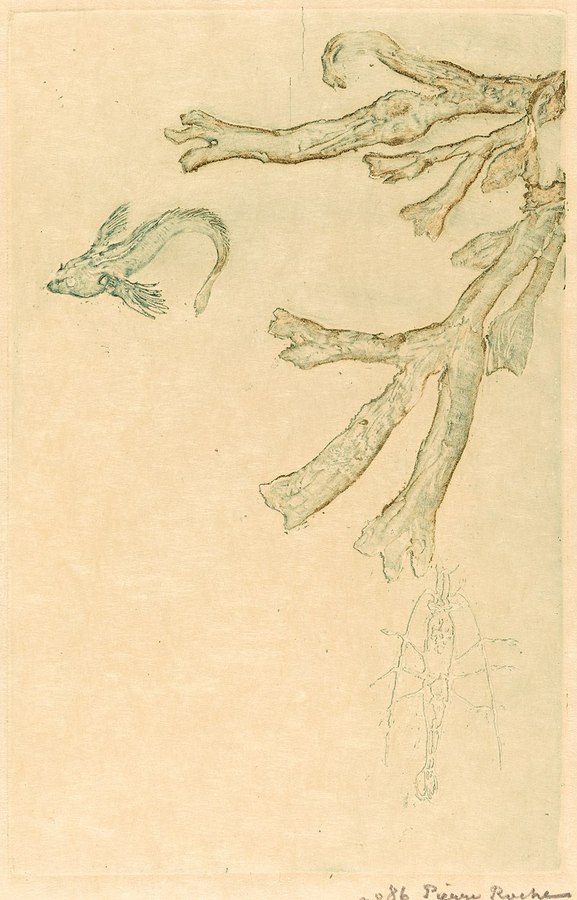 800px-Pierre_Roche,_Marine_Algae_(Algues_marines),_1893,_NGA_131е726.jpg