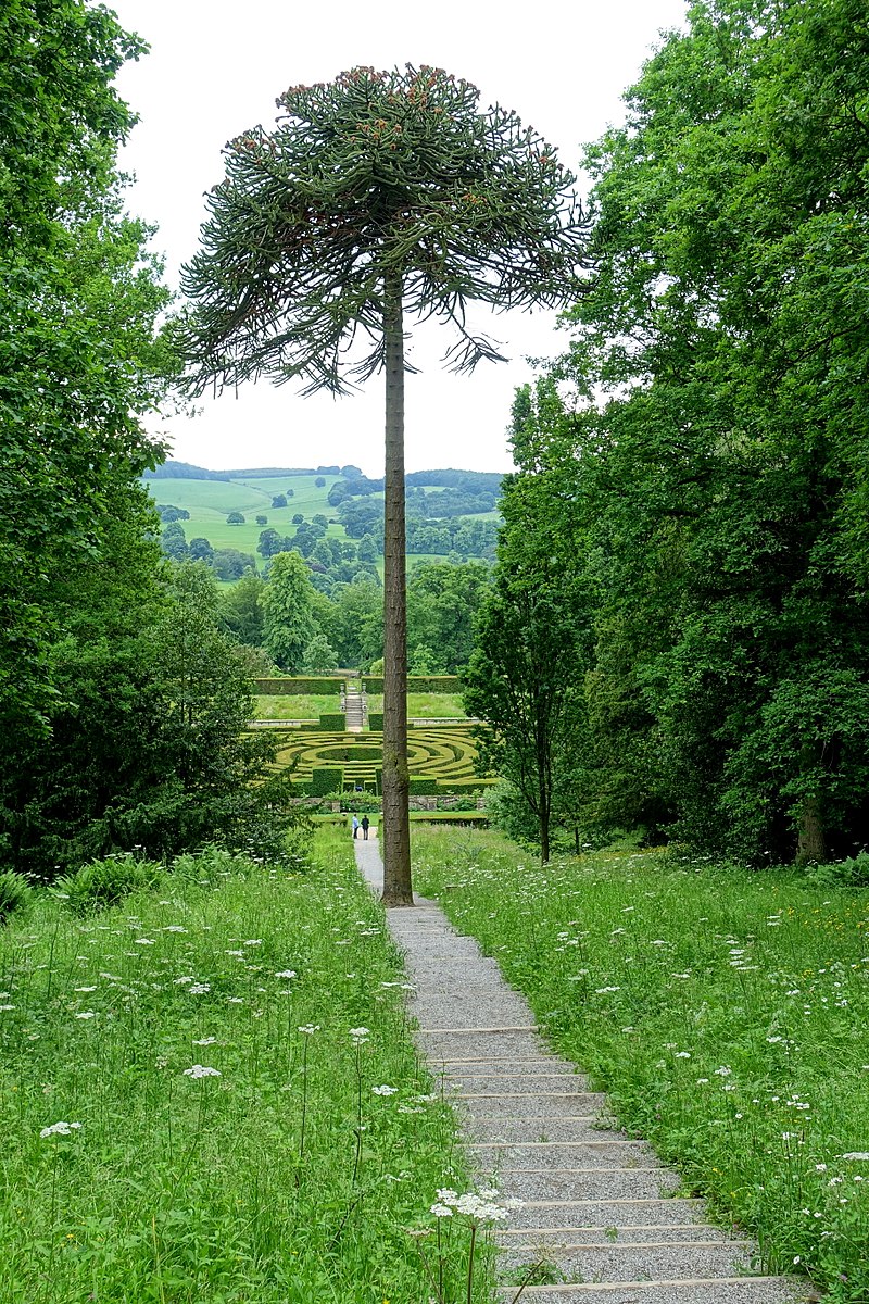 800px-Stairs_to_the_maze_-_Chatsworth_House_-_Derbyshire,_England_-_DSC03621.jpg