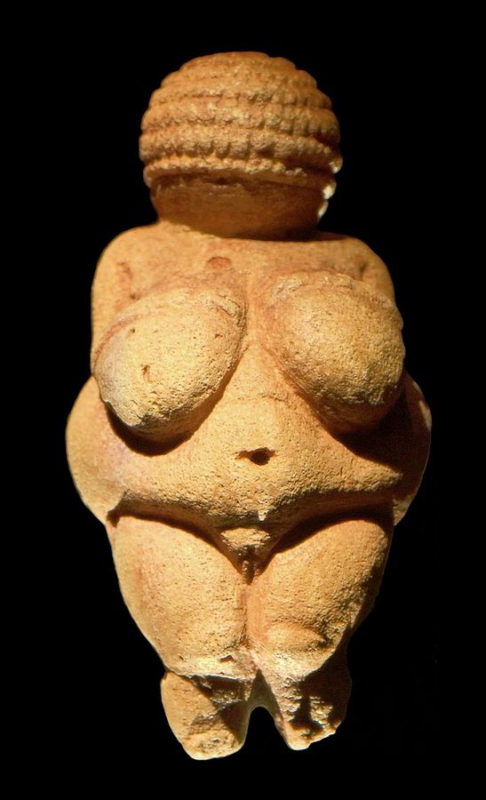 800px-Venus_of_Willendorf_frontview_retouched_2 австрия.jpg
