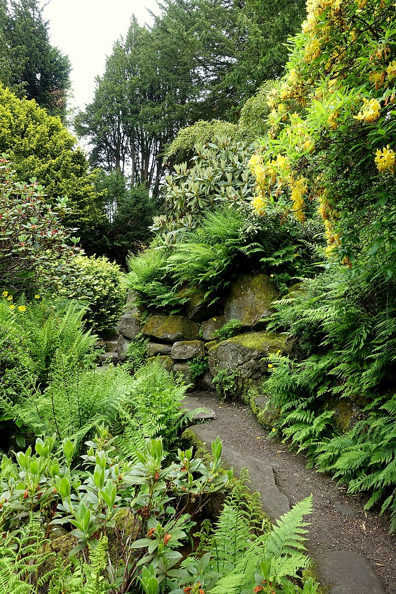 800px-Walkway_-_Biddulph_Grange_Garden_-_Staffordshire,_England_-_DSC09448.jpg