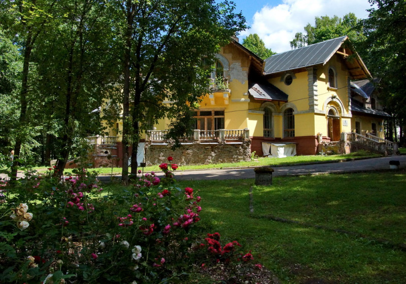 917615_800.jpg