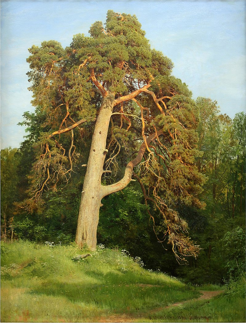 94Шишкин,_Сосна._Мерикюль,_1894.jpg