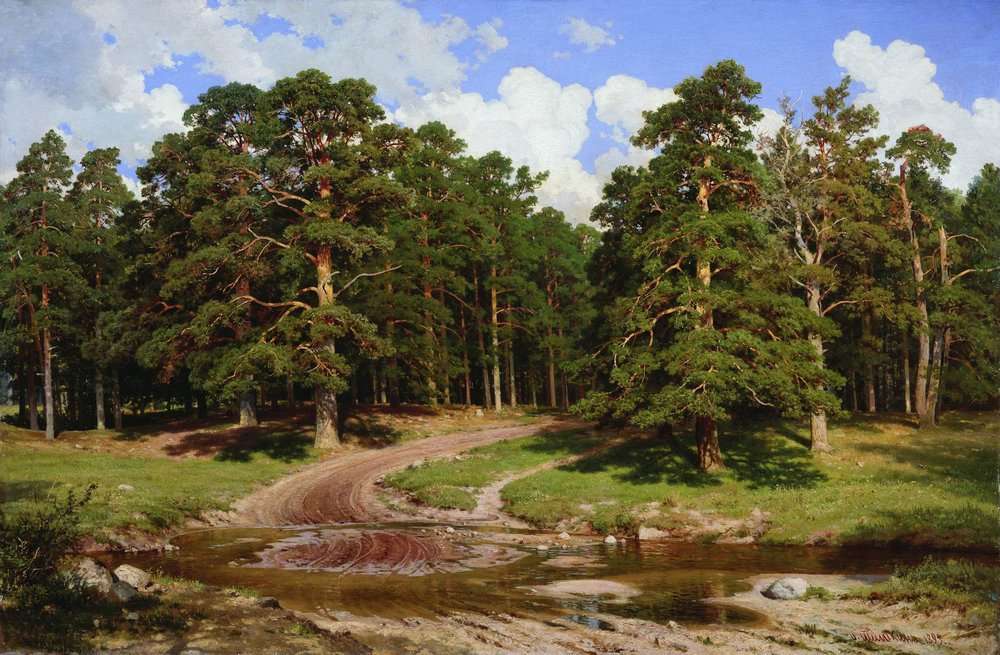 95 Pine_Forest_by_Ivan_Shishkin_1895.jpg