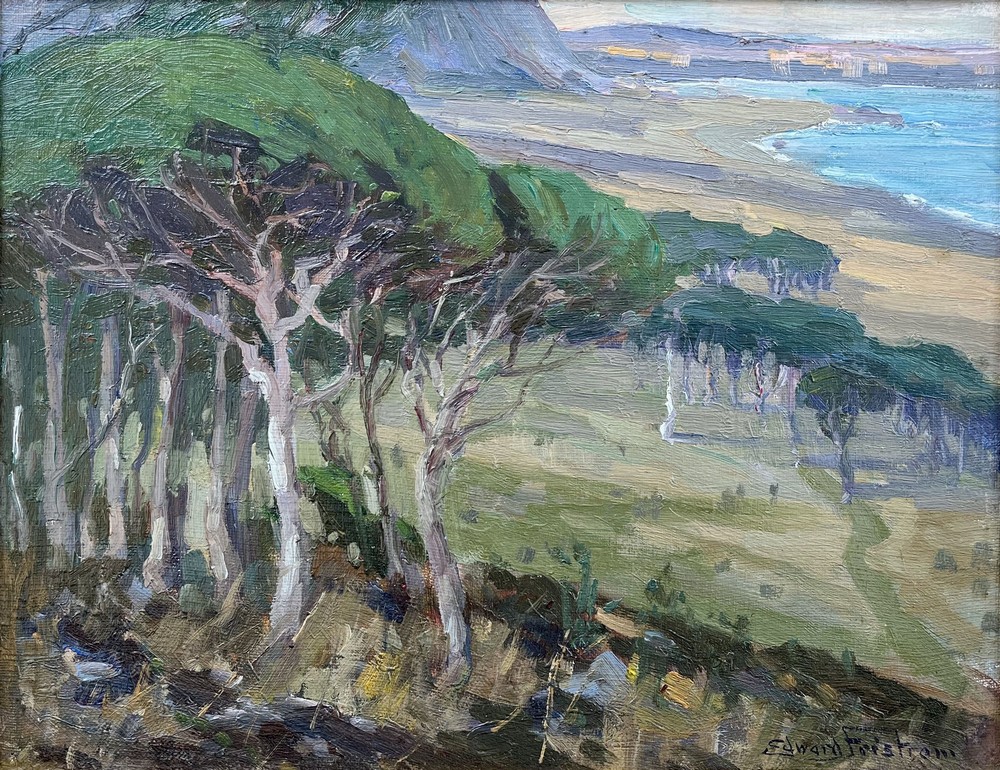 98371286.jpg