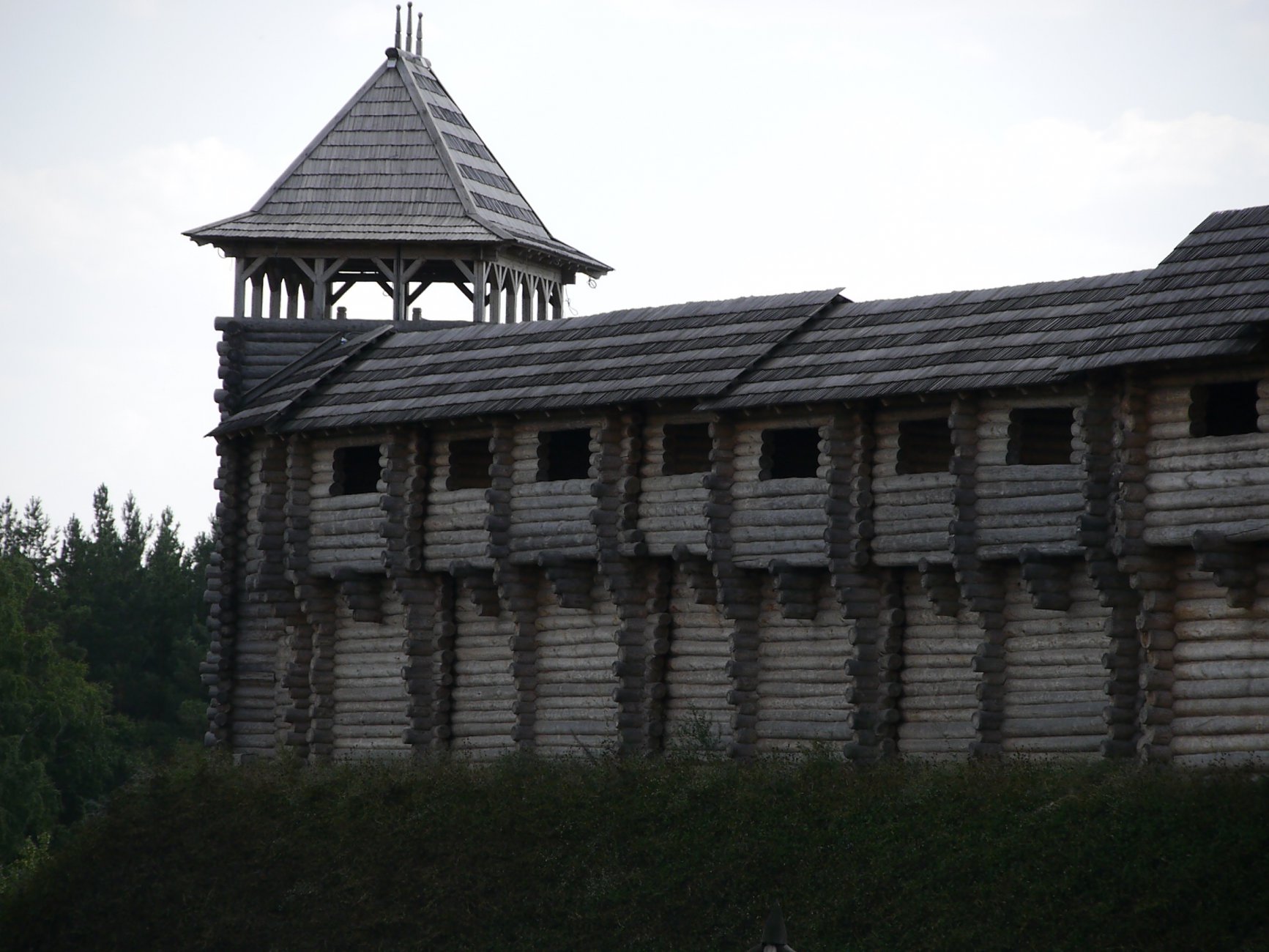 _1030633.JPG