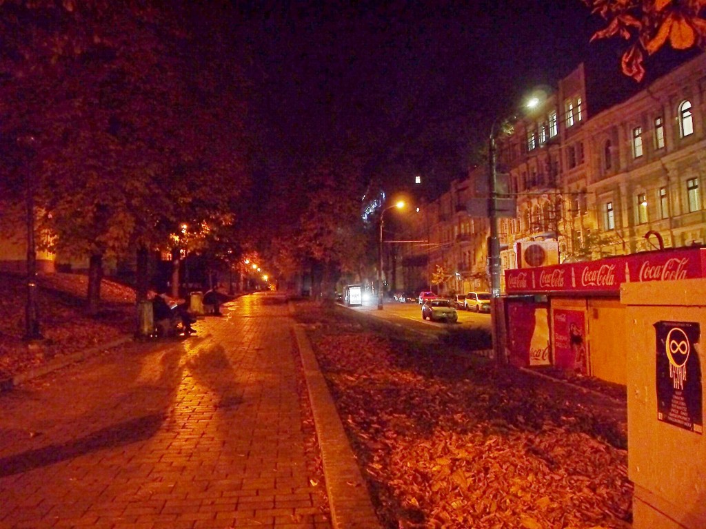 _1040546.jpg