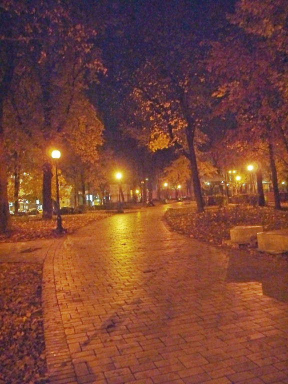 _1040551.jpg
