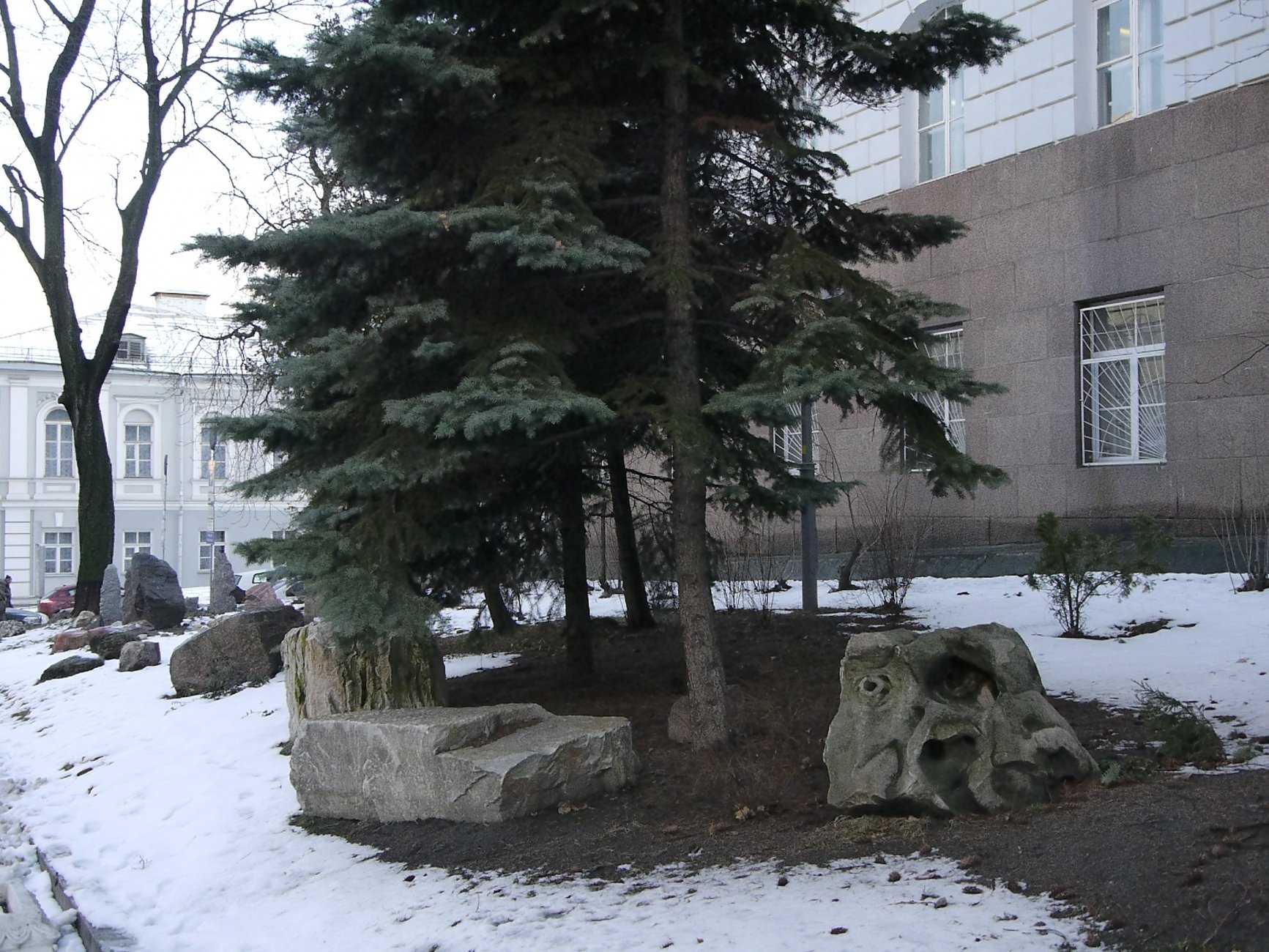 _1040751.JPG
