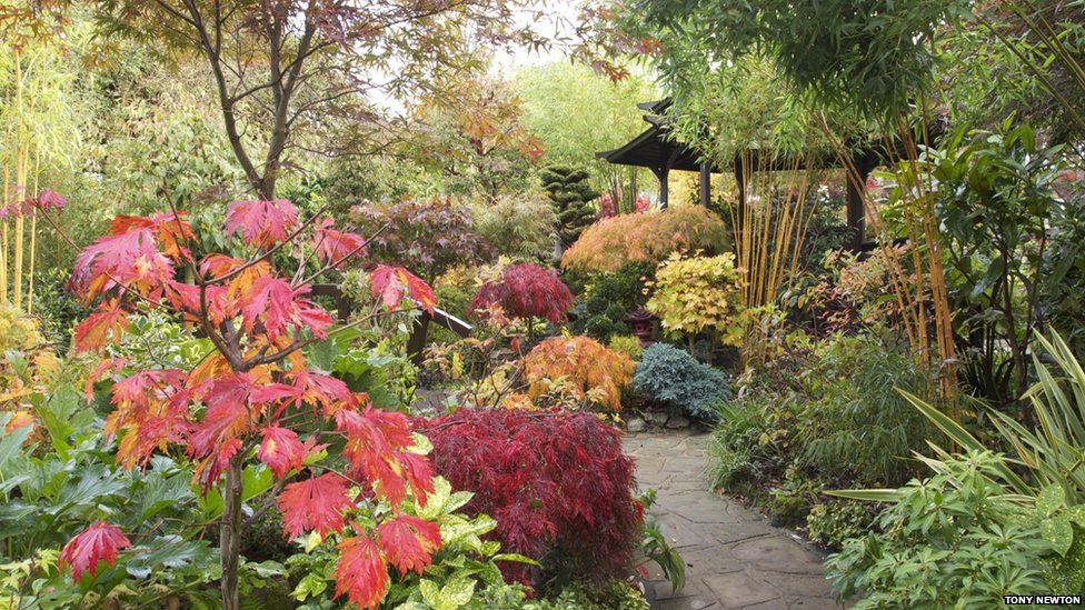_56359729_garden9 (1).jpg