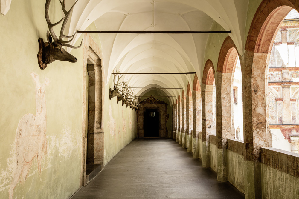 _67A6748.jpg