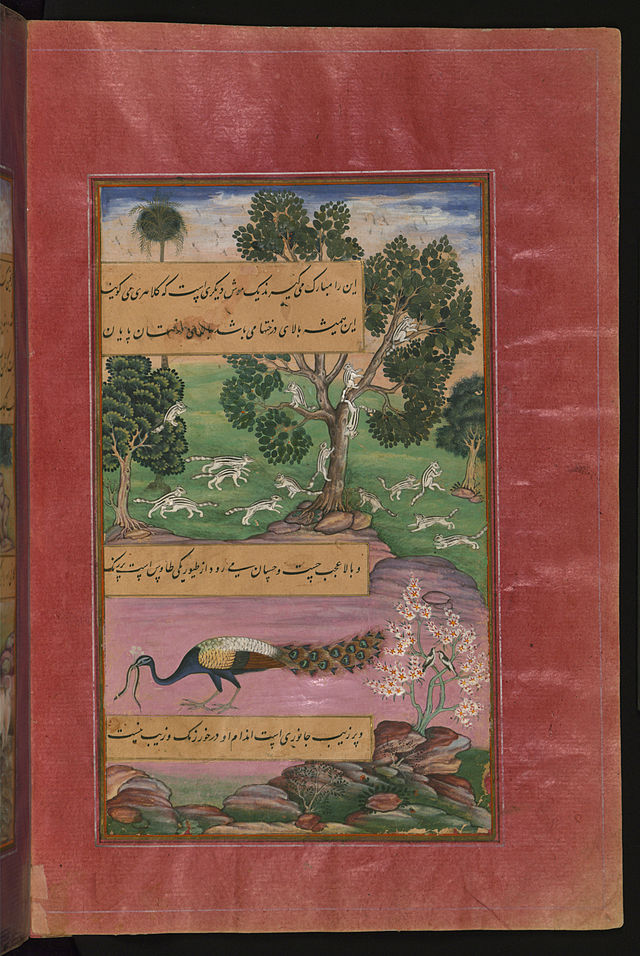 _Babur_-_Animals_of_Hindustan_-_Monkeys,_Rodents_and_a_Peacock_.jpg