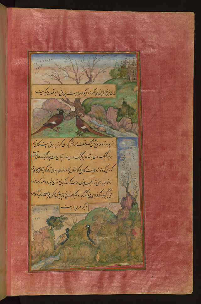 -_Birds_of_Hindustan_-_Luchas,_Called_Buqalamun,_and_Partridges_-_.jpg
