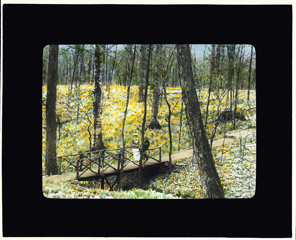 (_Lob's_Wood,__Carl_H._Krippendorf_house,_4949_Tealtown_Road,_Perintown_(Milford),_Ohio._L.jpg