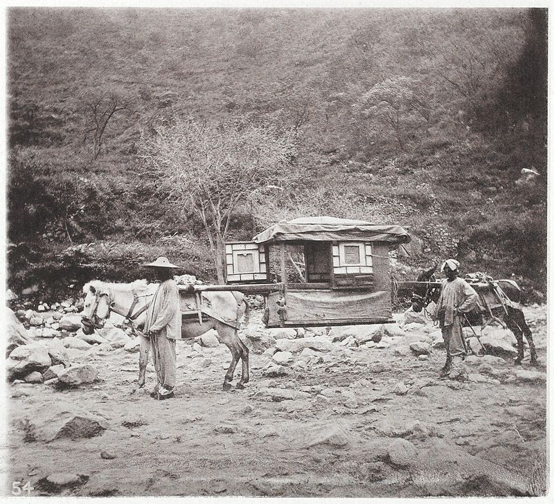 A_mule_litter_Wellcome_L0040989.jpg