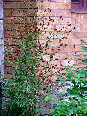 aB080928 079.jpg
