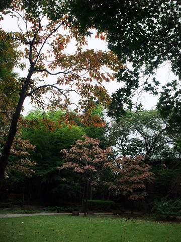 aB080928 124.jpg