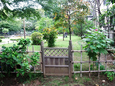 aB080928 257.jpg