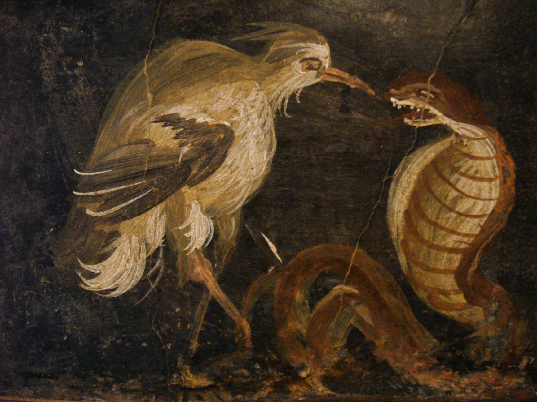 Affreschi_romani_-_airone_e_cobra_-_pompei.JPG