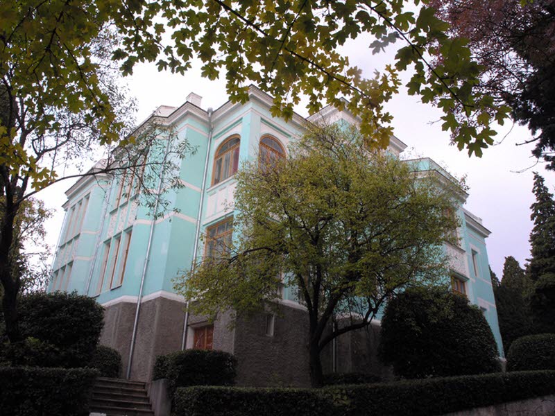 ai-todor-1.jpg