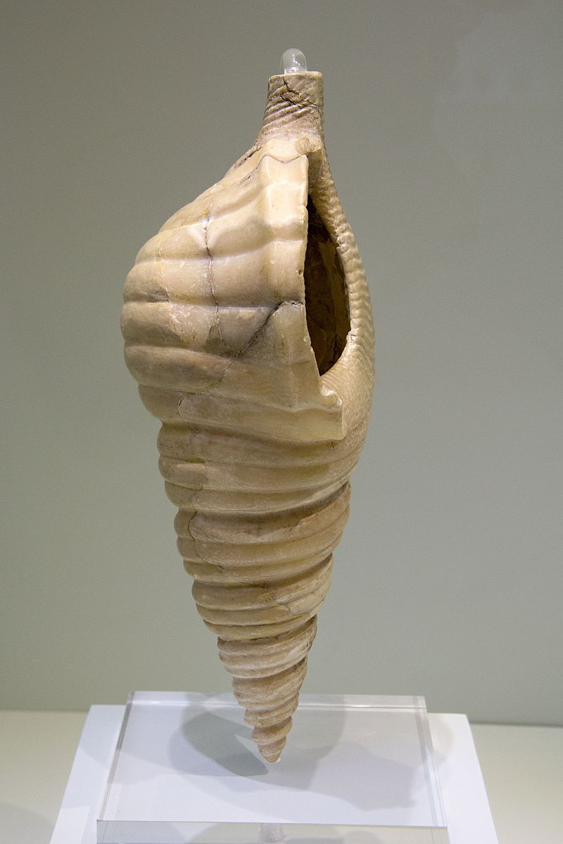 Alabaster_triton-shaped_rhyton,_Knossos,_1650-1550_BC,_AMH,_145185.jpg