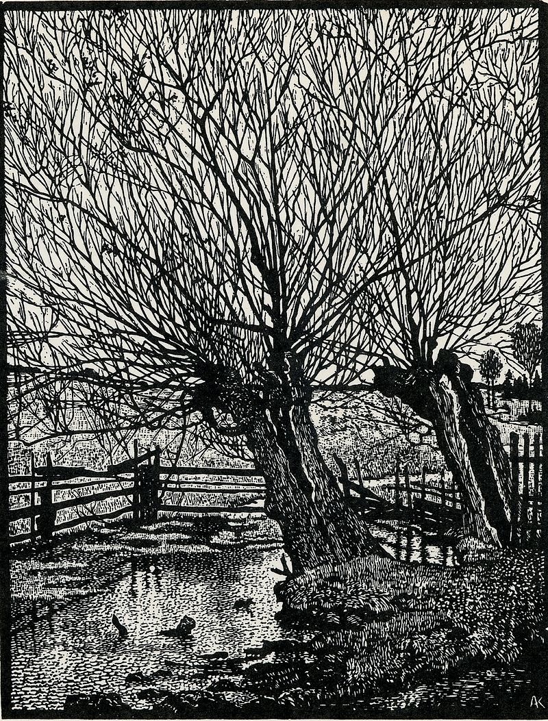 Albert_König_Alte_Weiden.jpg