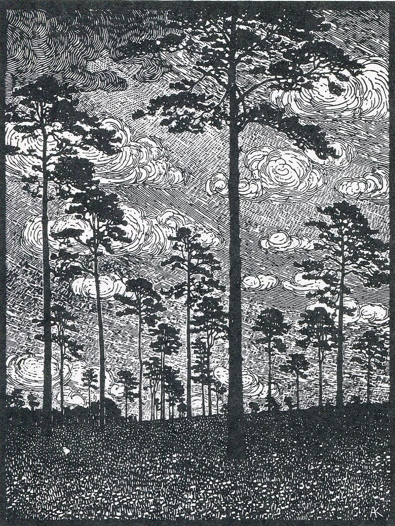 Albert_König_Kiefern.jpg