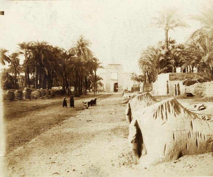 Allée_des_sphinx_à_tête_de_bélier_-_Karnak_-_.jpg
