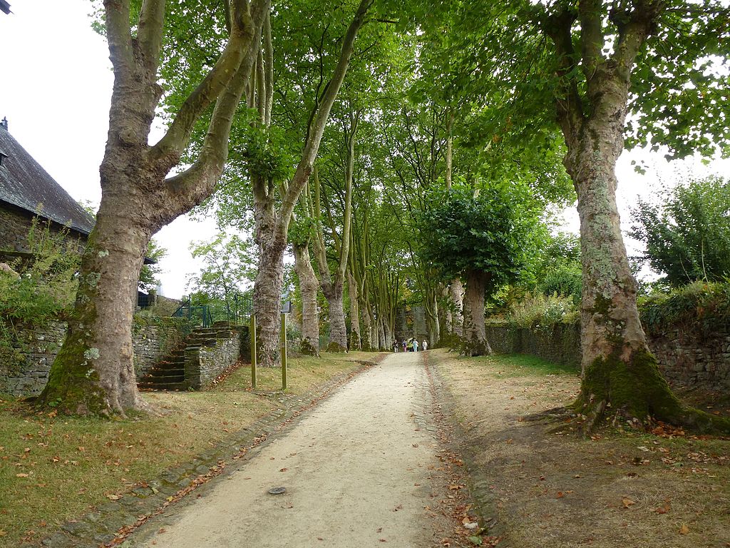 Allée_du_chateau_-_panoramio.jpg