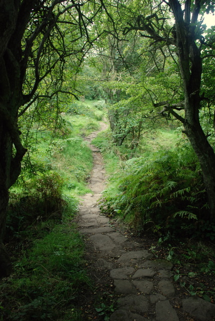 Ancient_pathway_towards_Chatsworth_Park_-_geograph.org.uk_-_553964.jpg