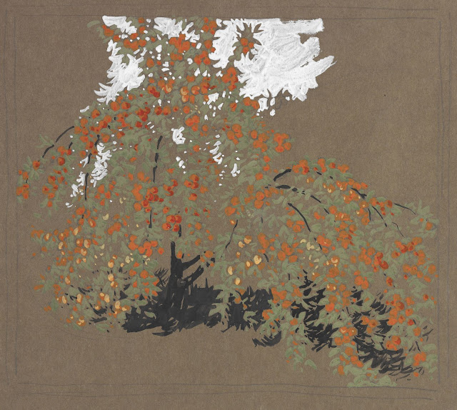 Apple Tree.jpg