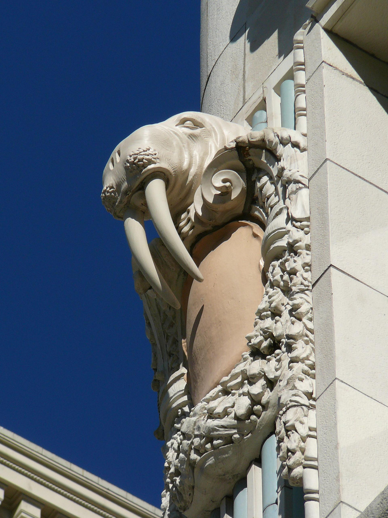 Arctic_club_terra_cotta_walrus.jpg