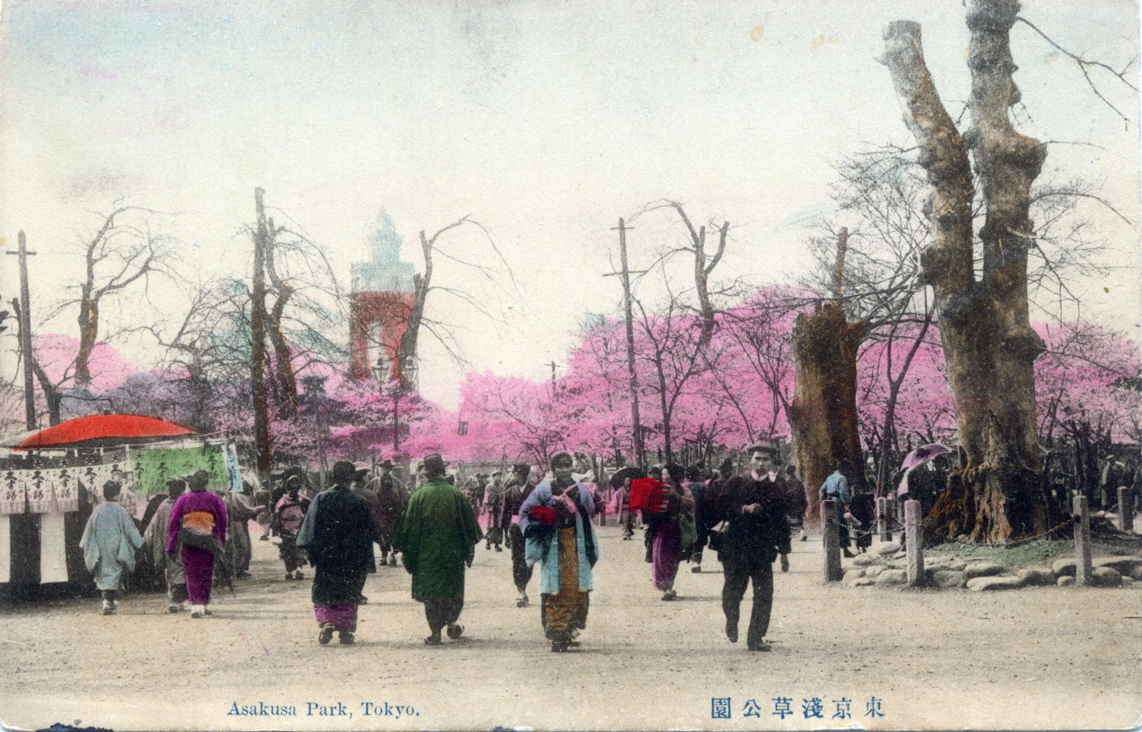 asakusa-park-blossom-300.jpg