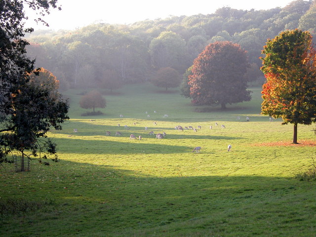 Ashton_Court_Estate_-_geograph.org.uk_-_474676.jpg
