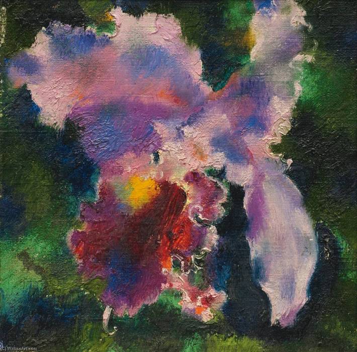 Augusto-Giacometti-Orchidee-рauf-grunem-Grund.jpg