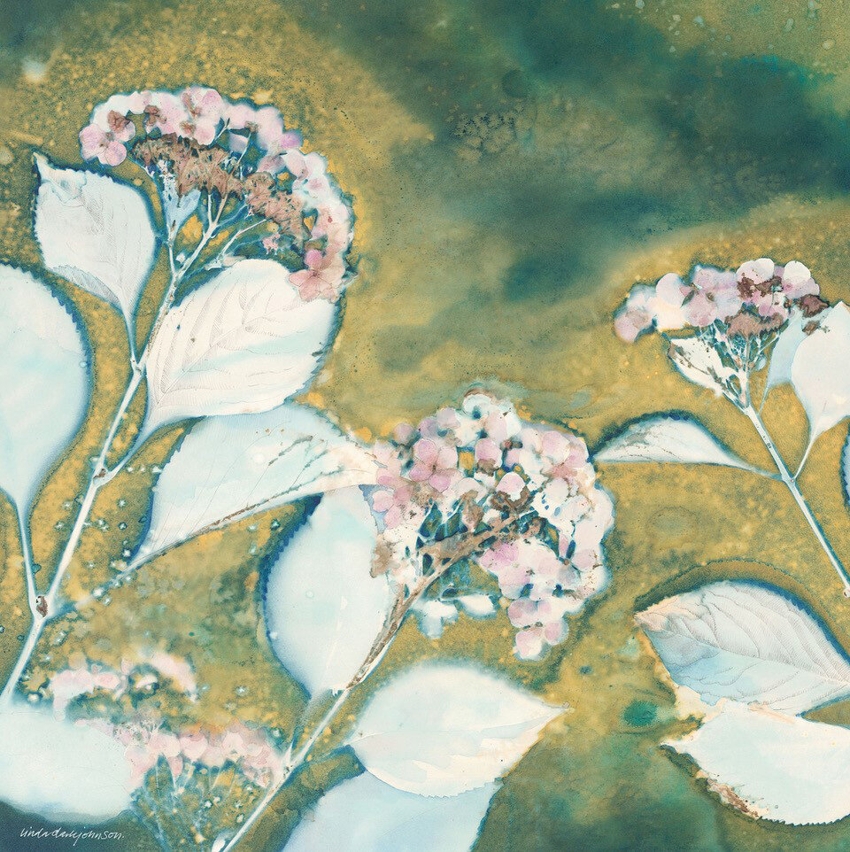 autumn-blush-web.jpg