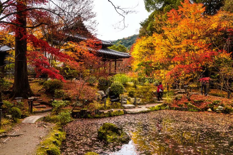 autumn-colors-tenjuan-temple-kyoto-people-traveler-visit-.jpg