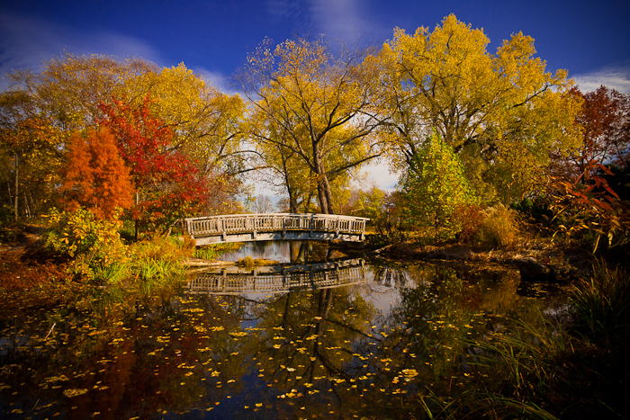 autumn_monet_by_studiofovea-d4etn8a.jpg