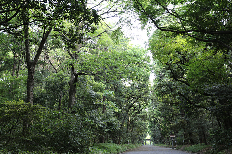 b05214_ph03.jpg