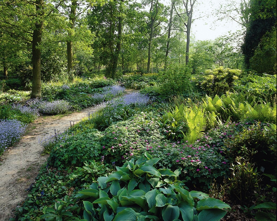 beth-chatto-garden-2 (1)н.jpg