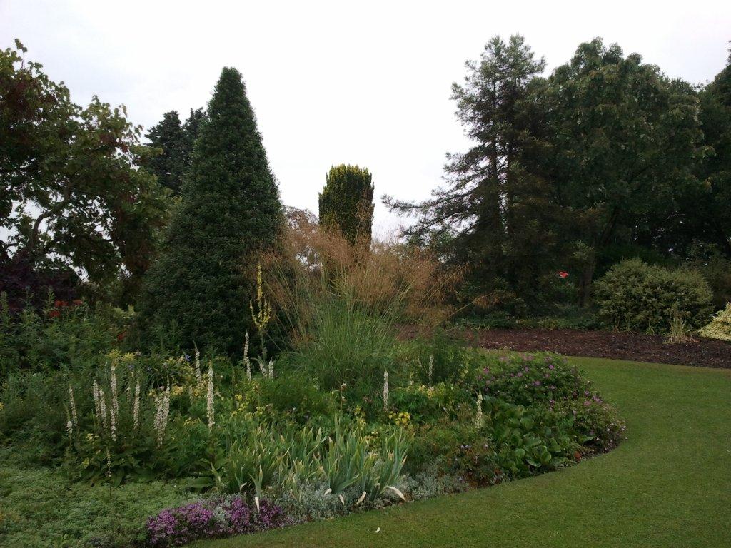 Beth-Chatto-Garden-Plants1.jpg