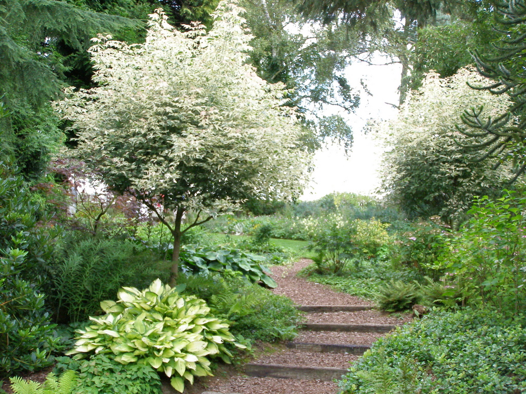 beth_chatto_path_original.jpg