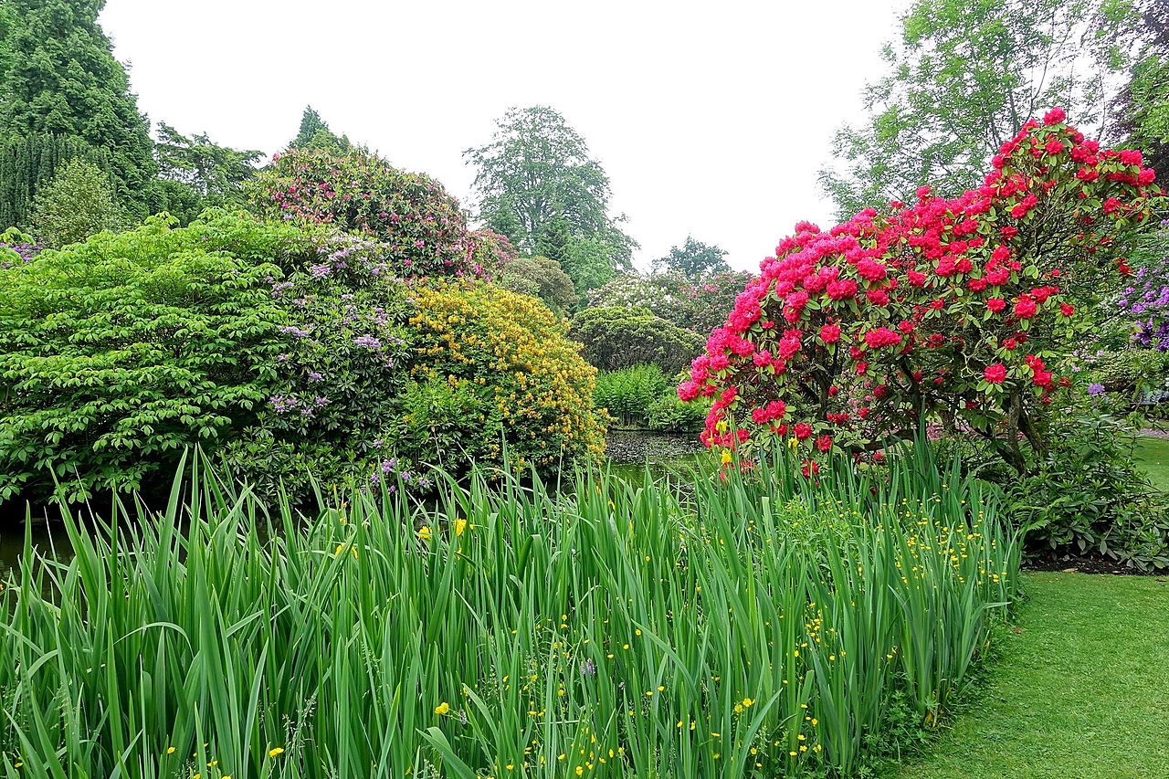 Biddulph_Grange_Garden_-_Staffordshire,_England_-_DSC09120.jpg
