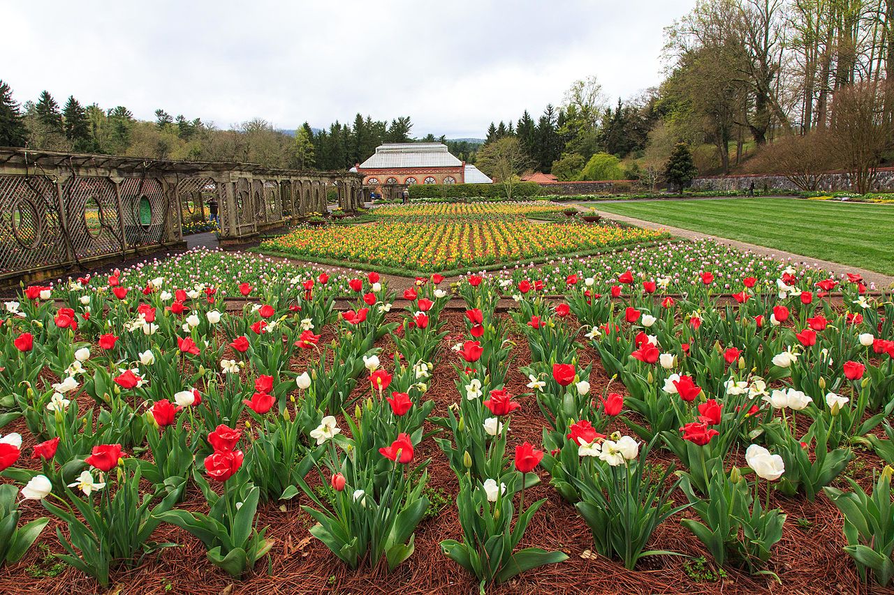 Biltmore_Estates_-_Tulip_Garden_-_panoramio_(1).jpg