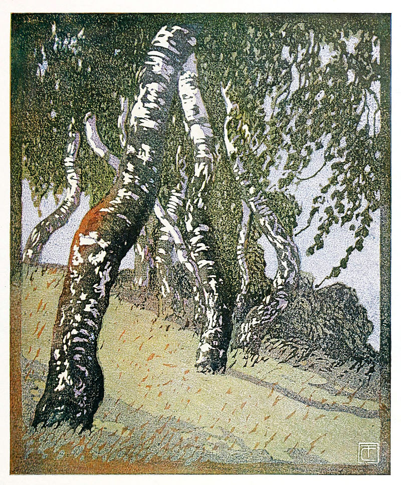 Birches_by_Carl_Thiemann.jpg