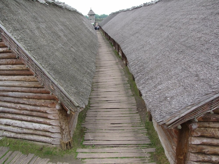 Biskulin.jpg