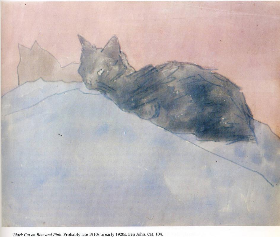 black-cat-on-blue-and-pinkj.jpg