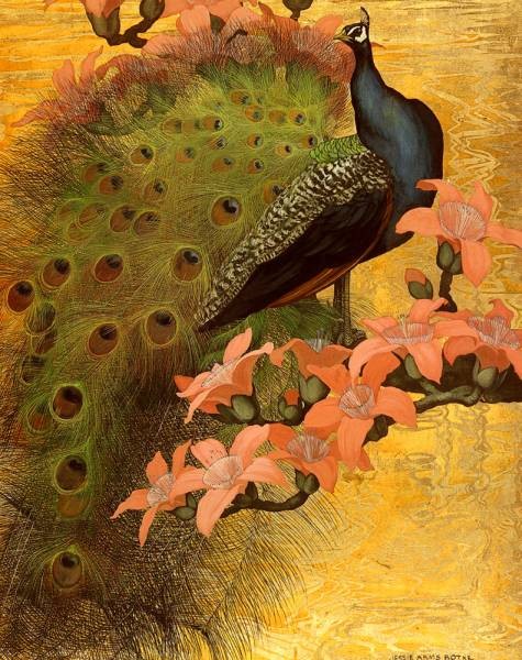 blue-peacock.jpg