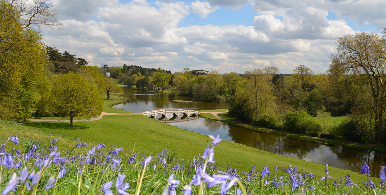 Bluebells-5-arch.jpg