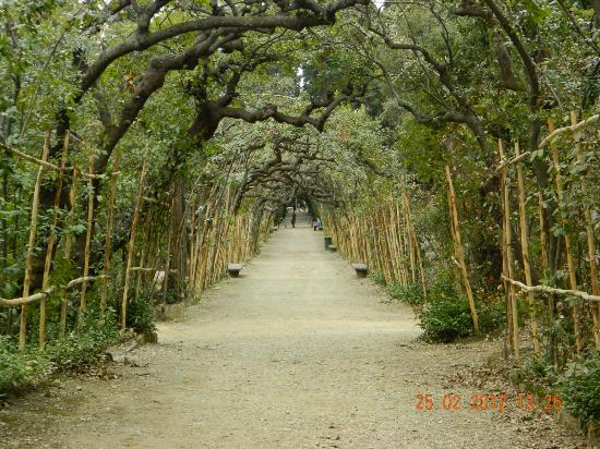 boboli-gardens.jpg